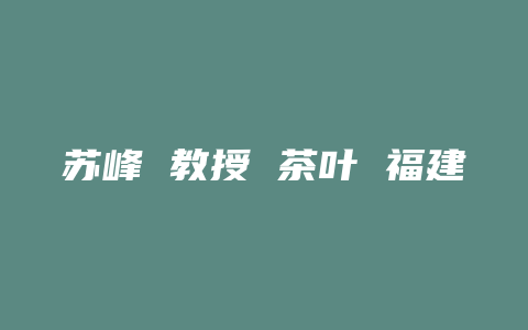 苏峰 教授 茶叶 福建