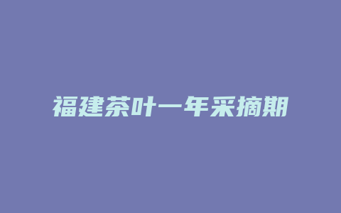 福建茶叶一年采摘期