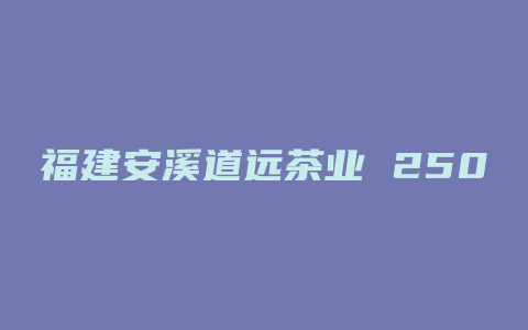 福建安溪道远茶业 250克 久久泡