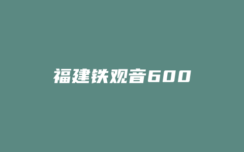 福建铁观音600