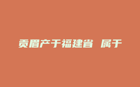 贡眉产于福建省 属于