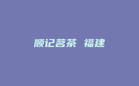 顺记茗茶 福建