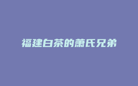 福建白茶的萧氏兄弟