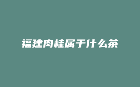 福建肉桂属于什么茶