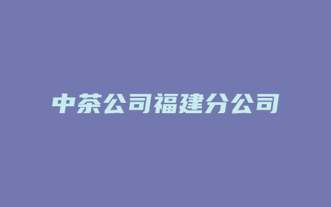 中茶公司福建分公司