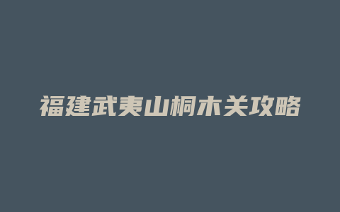 福建武夷山桐木关攻略