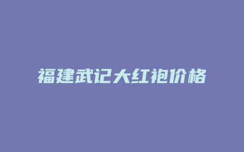 福建武记大红袍价格