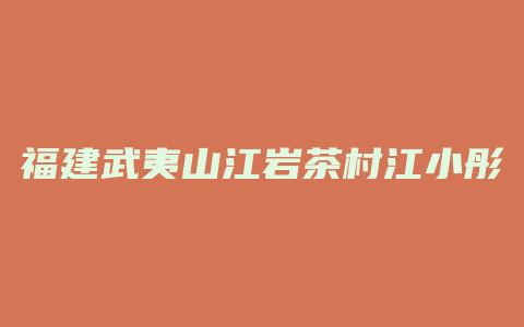 福建武夷山江岩茶村江小彤茶庄电话