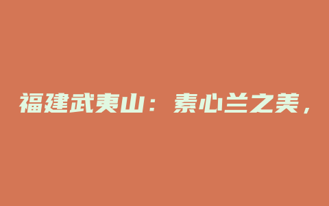 福建武夷山：素心兰之美，恍如人间仙境