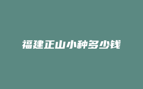 福建正山小种多少钱