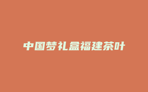 中国梦礼盒福建茶叶