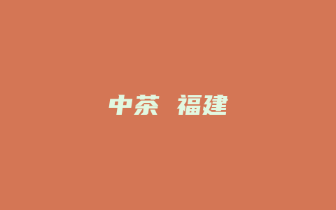 中茶 福建