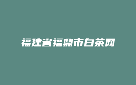 福建省福鼎市白茶网