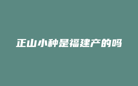 正山小种是福建产的吗