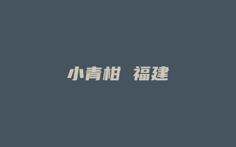 小青柑 福建