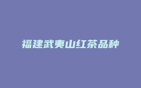 福建武夷山红茶品种