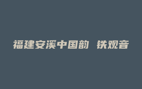 福建安溪中国韵 铁观音