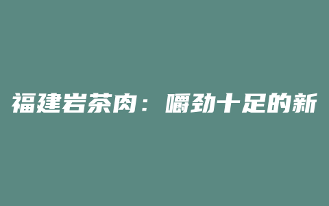 福建岩茶肉：嚼劲十足的新鲜口感，激发味蕾的浓厚岩山风情！