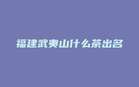 福建武夷山什么茶出名