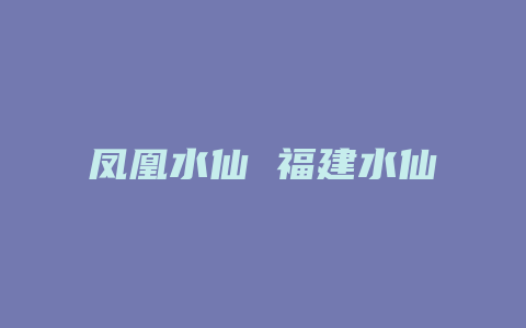 凤凰水仙 福建水仙