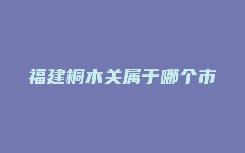 福建桐木关属于哪个市