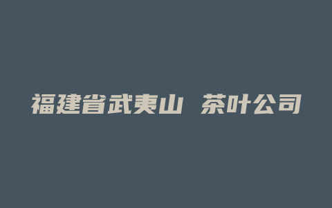 福建省武夷山 茶叶公司