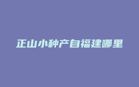 正山小种产自福建哪里