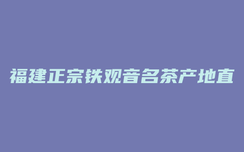 福建正宗铁观音名茶产地直销价格