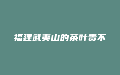 福建武夷山的茶叶贵不