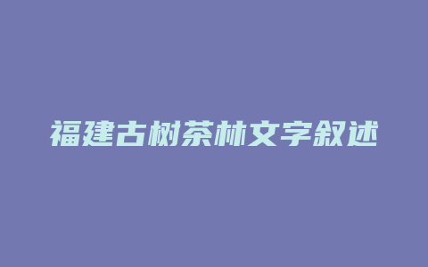 福建古树茶林文字叙述