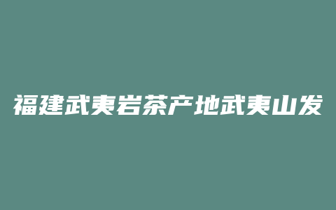 福建武夷岩茶产地武夷山发展