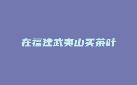 在福建武夷山买茶叶