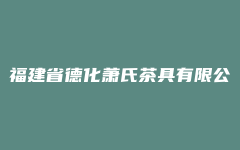 福建省德化萧氏茶具有限公司