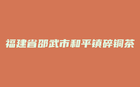 福建省邵武市和平镇碎铜茶