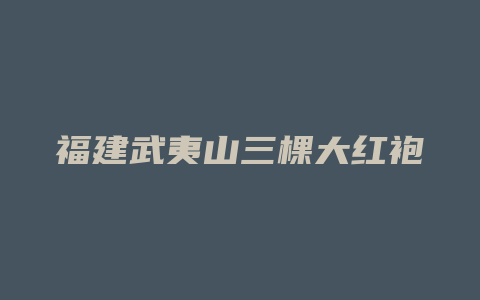 福建武夷山三棵大红袍