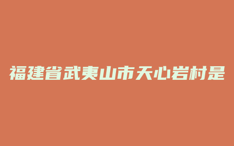 福建省武夷山市天心岩村是哪个镇