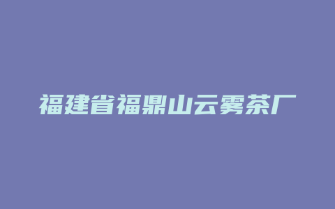 福建省福鼎山云雾茶厂