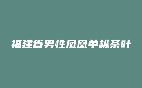 福建省男性凤凰单枞茶叶