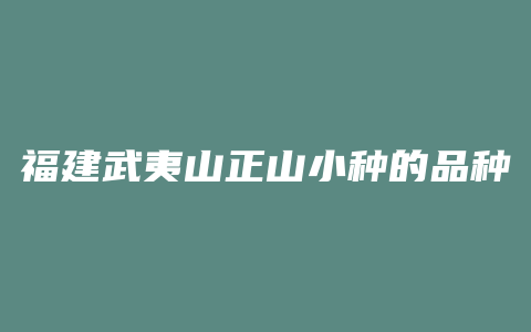 福建武夷山正山小种的品种