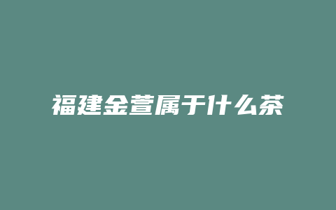 福建金萱属于什么茶