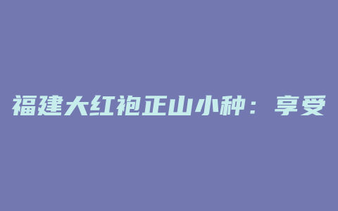 福建大红袍正山小种：享受经典，品味传统