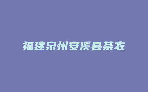 福建泉州安溪县茶农