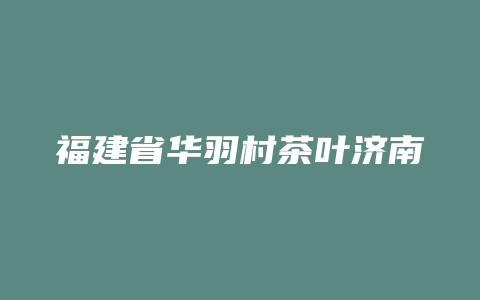 福建省华羽村茶叶济南