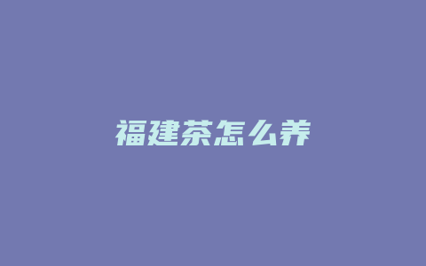 福建茶怎么养