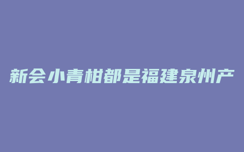 新会小青柑都是福建泉州产