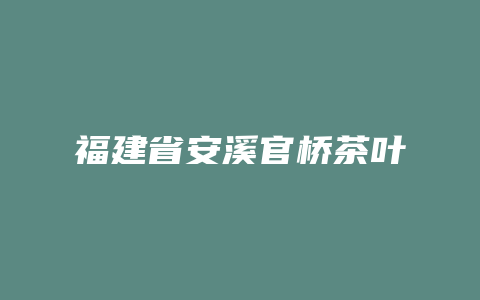 福建省安溪官桥茶叶