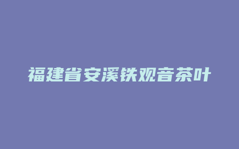 福建省安溪铁观音茶叶