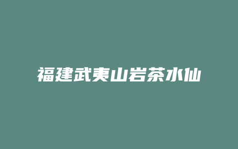 福建武夷山岩茶水仙