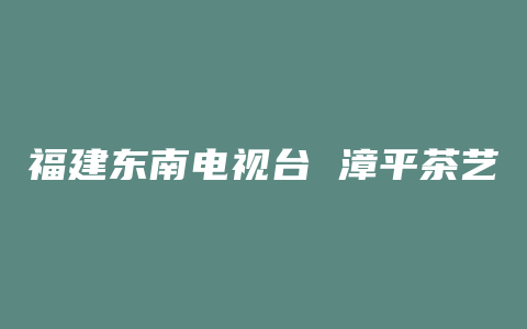 福建东南电视台 漳平茶艺