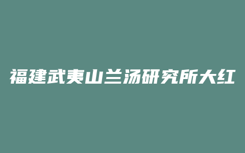 福建武夷山兰汤研究所大红袍